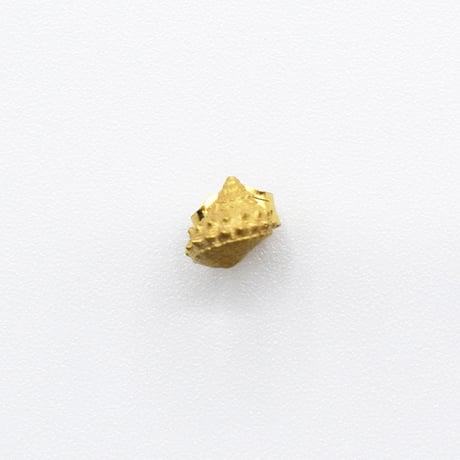 Bisho pierce 16 コンペイトウガイ