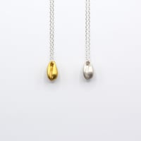 Bisho necklace 05 タカラガイ