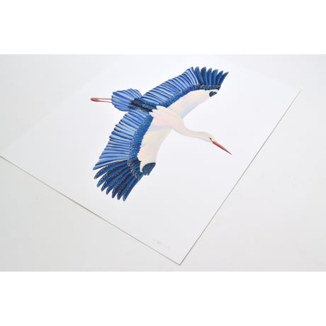 原画　BIRD Stork