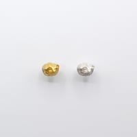 Bisho pierce 06 フジツボ