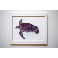 【原画】　海辺の記録 "アオウミガメ"