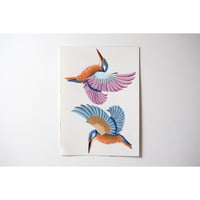 試作原画　カワセミ