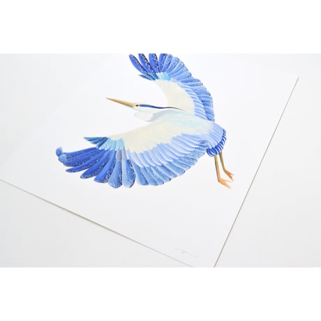 原画　BIRD Gray heron