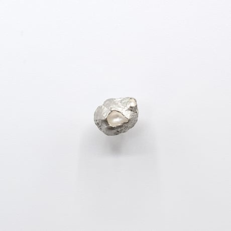 Bisho pierce 06 フジツボ