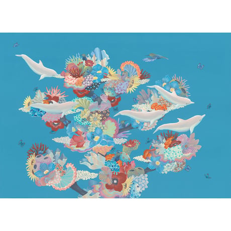 【マットプリント】　DOLPHINE “FESTIVAL “