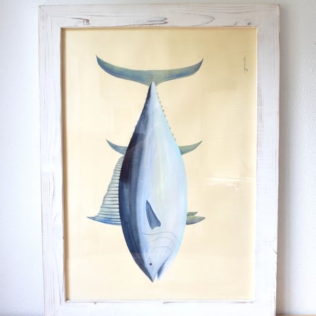 原画　食べられるお魚の絵　本マグロ