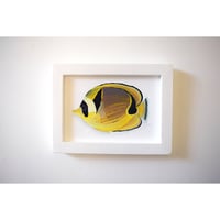 【原画】　海辺の記録 "チョウハン"