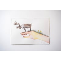 試作原画　ムース
