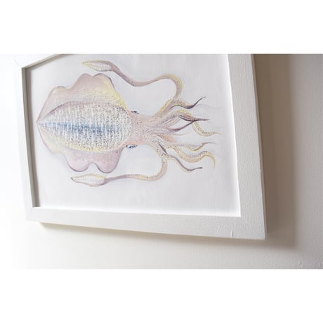 【原画】　海辺の記録 "アオリイカ"