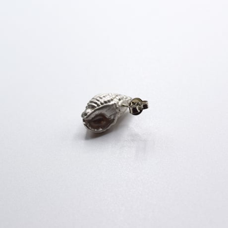 Bisho pierce 12 ヒメムシロ