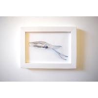 【原画】　海辺の記録 "アオリイカyg"