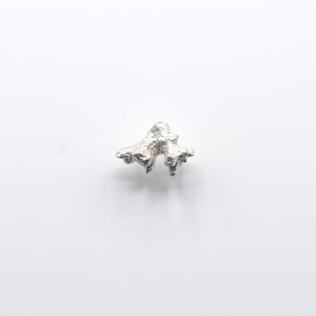 Bisho pierce 25 サンゴノカケラ