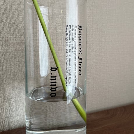 【D.NUVO】Flower Vase