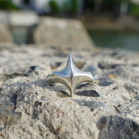 【TOPAZZ × LOVERS】silver925 Shine Ring