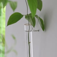内田鋼一セレクト 萬古焼 オーバル皿 M ホワイト〔 送料着払い