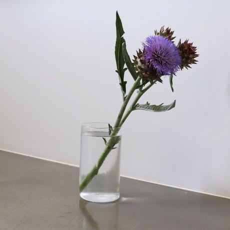 内田鋼一氏作 白釉カップとソーサーセット GALERIE KAIGETSU