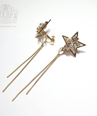 Nuit étoilée  EARRINGS ＆ PIERCING