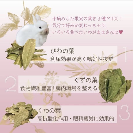 【メーカー終売/在庫限り】カワイ　そのまんま果実の葉 MIX