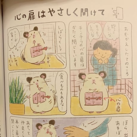 【老若男女問わず読める新しいカタチの飼育書】『チンチラ、飼いはじめました！』