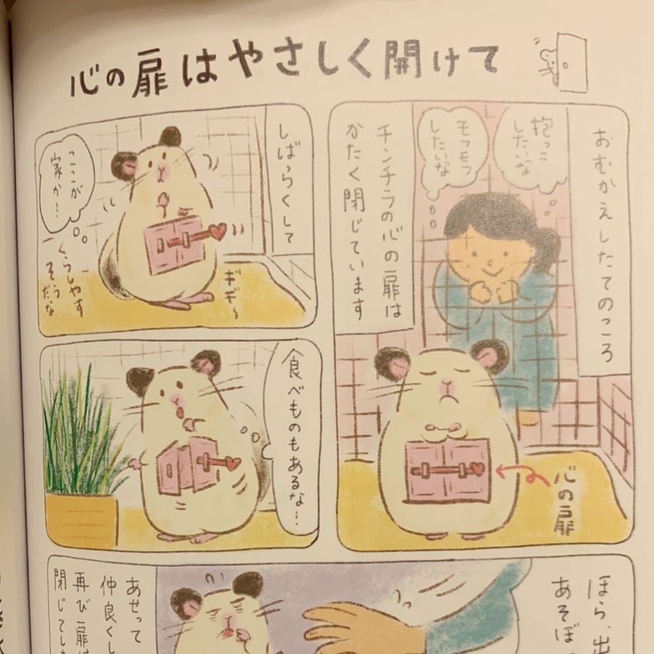 5f8917d13313d27390504e0f