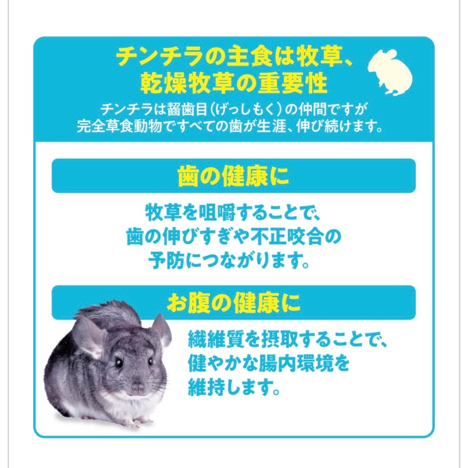 69ca163f9fb1028b37d7b11a