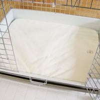 《さらふわ》New!ケージマット60＜ALL＞