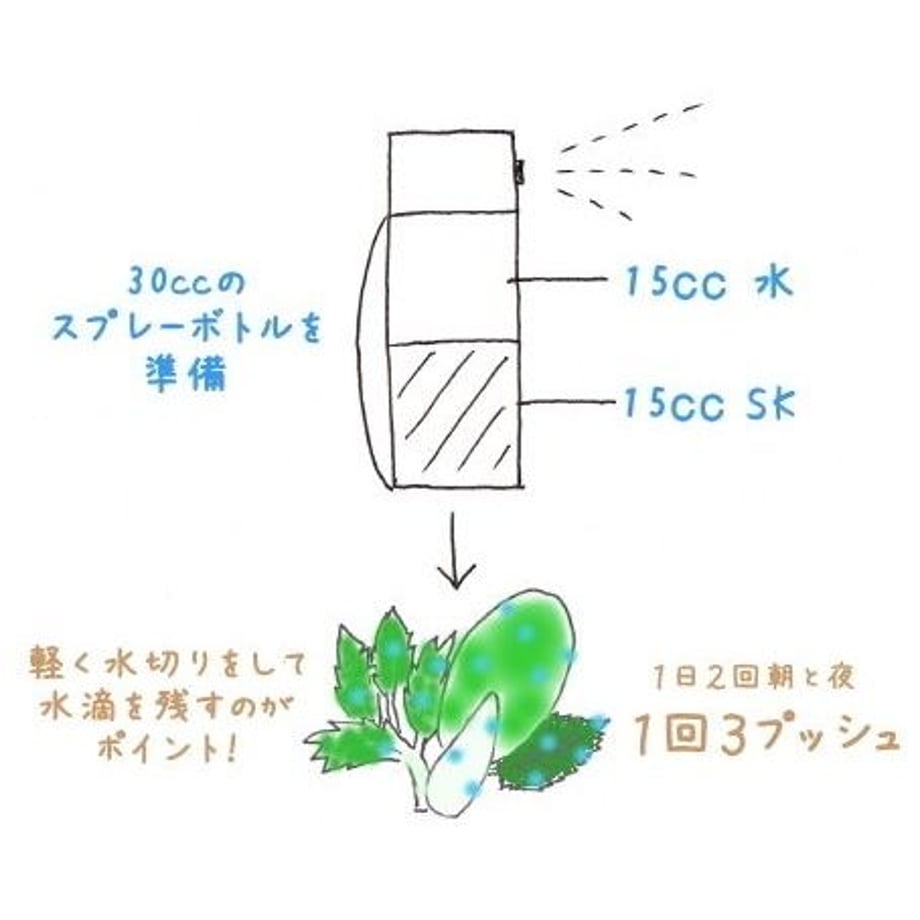 5d19c04b2f8f1653c4bee426