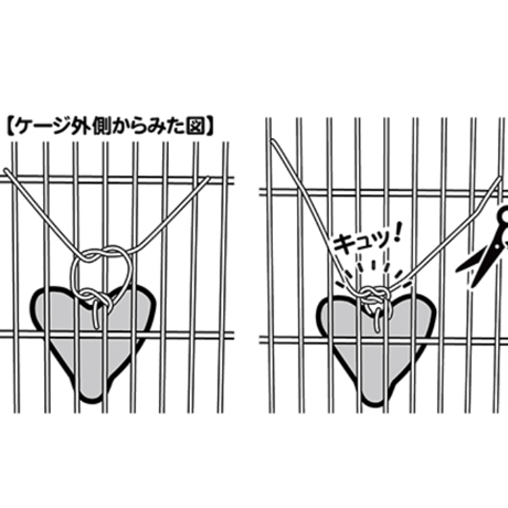 サンコー ヘイヘイトイ　ハート