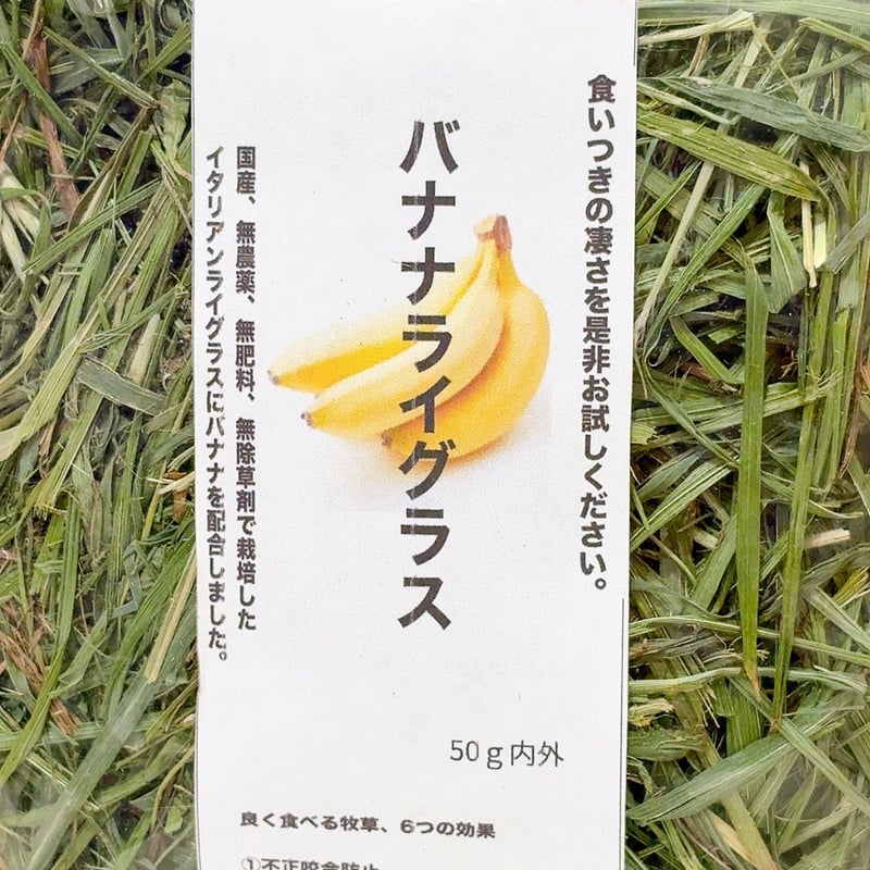 あきバナナさま専用 トラ型ラグ Bristol 約100cm x 50cm あき