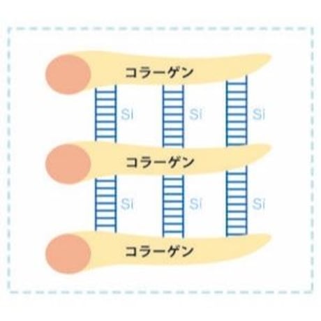 【ケイ素液体サプリメント】SK（シリーケイ）100g