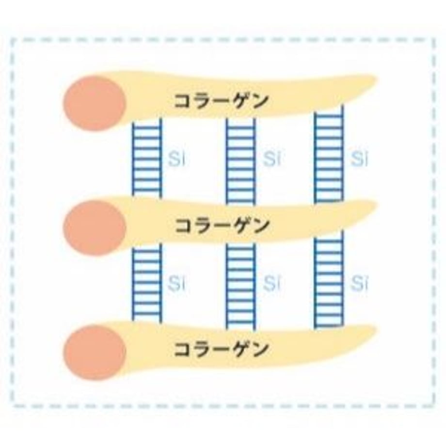 5d19c04b2f8f1653c4bee426