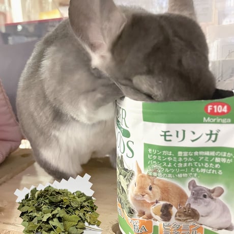 サンコー　スーパーフード「モリンガ」
