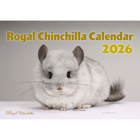 ITEM | Royal Chinchilla Online Shop