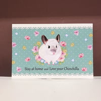 【倉庫一掃セール】《shocoly》おトゥーさんのお花畑ポストカード　⚫︎