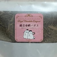 【チラマ2026】＜チラマ限定サイズ＆特別価格＞腸活発酵バガス 20g　〜ファイバー強化タイプ〜