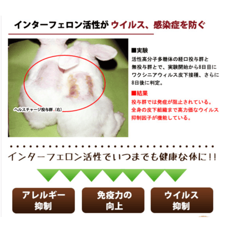 ヘルスチャージ-I(アイ)  抵抗力・免疫力強化サプリ パウダータイプ 15g