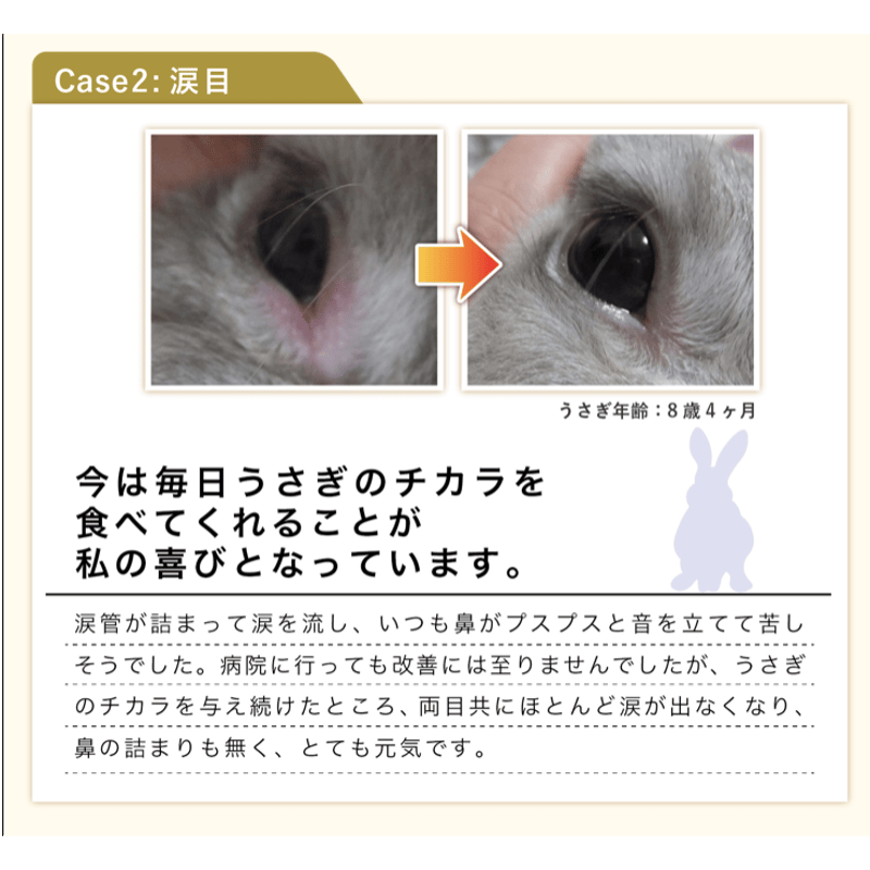 うさぎ チカラのちから サプリ 2袋 - www.sgaglione.it