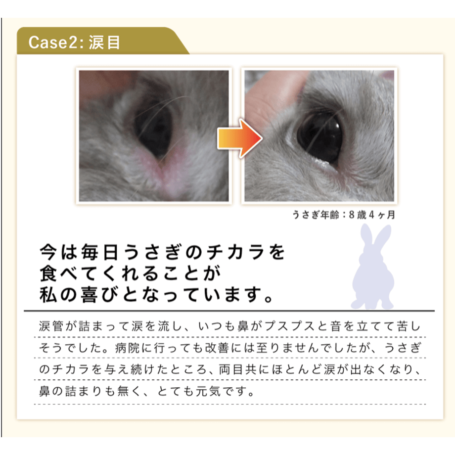 5c5db59ec2fc28190962140e