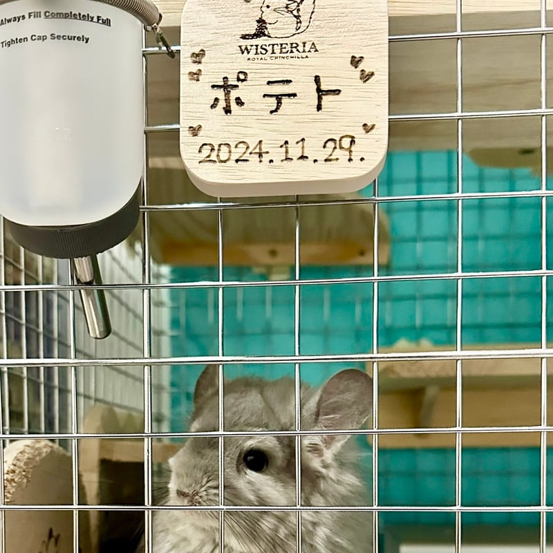 RC WISTERIA✖️Chilla Stage》ネームプレート（お名前手書き