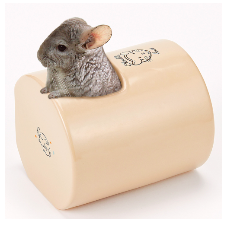 CASA チンチラの砂浴びもできるハウス＊ | Royal Chinchilla Onli