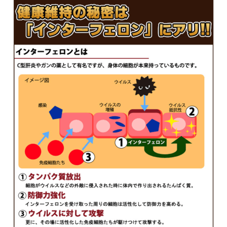 ヘルスチャージ-I(アイ)  抵抗力・免疫力強化サプリ パウダータイプ 15g