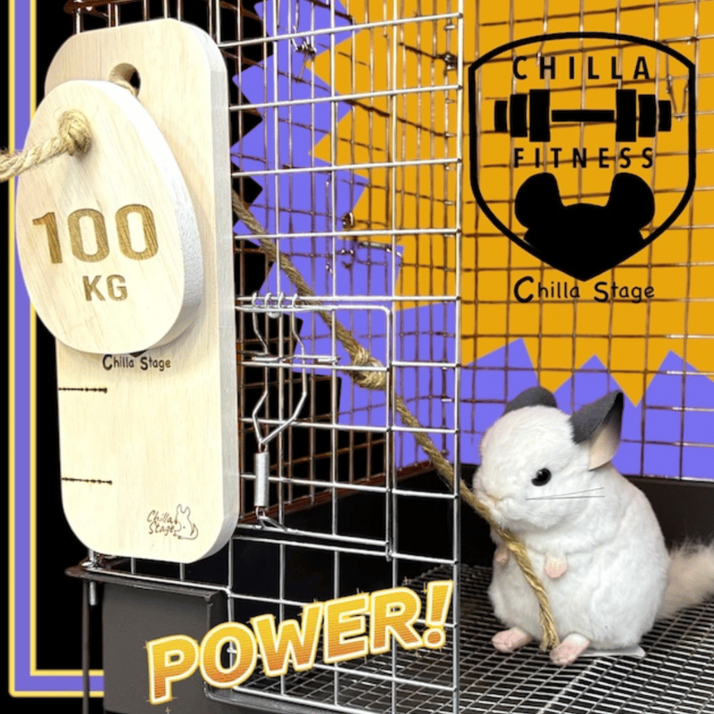 ロイヤルチンチラ おでかけチラカート＆トレーラー チラステージ