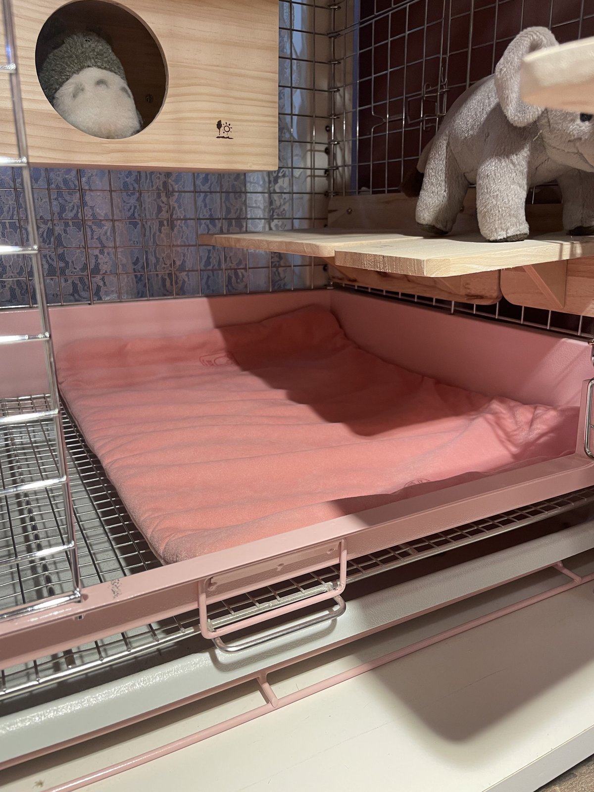 さらふわ》New!ケージマット60<Half>☆ | Royal Chinchilla On さらふわ》New!ケージマット60<Half>☆ | Royal Chinchilla On