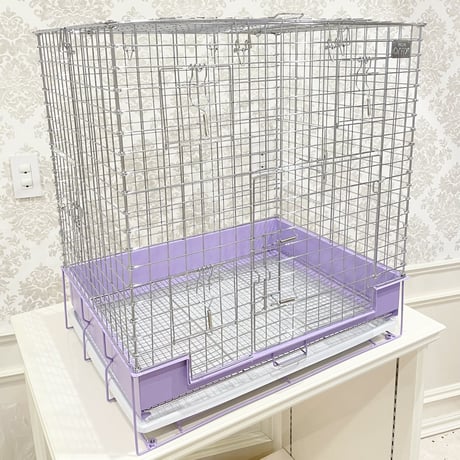 CATEGORY ケージ | Royal Chinchilla Online Shop CATEGORY ケージ | Royal Chinchilla Online Shop