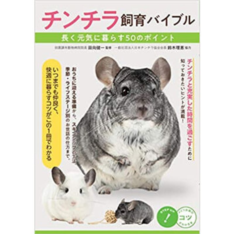 は*な様 チンチラ　飼育　用品　写真で確認して下さい muchimi.718 むっちゃんキットカット🍫♡ かわちい🥹🫶🏼💓 2枚