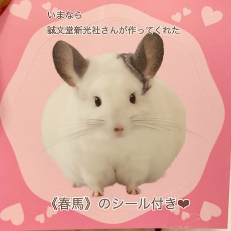 【老若男女問わず読める新しいカタチの飼育書】『チンチラ、飼いはじめました！』
