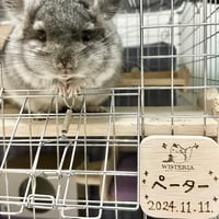 《RC WISTERIA✖️Chilla Stage》ネームプレート（お名前手書き焼印無料サービス）