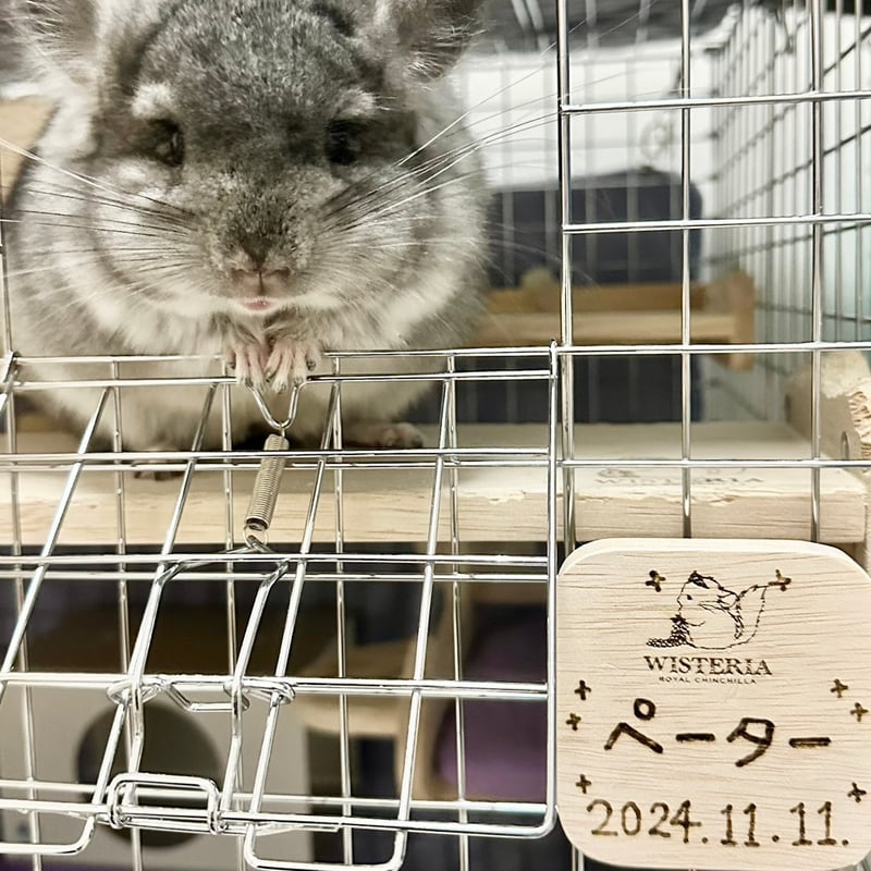 ハヤチルみぃーちゃん様❤プードル 印鑑スタンド Amazon.co.jp: デコレコーポレーション harapeko animal 印鑑スタンド