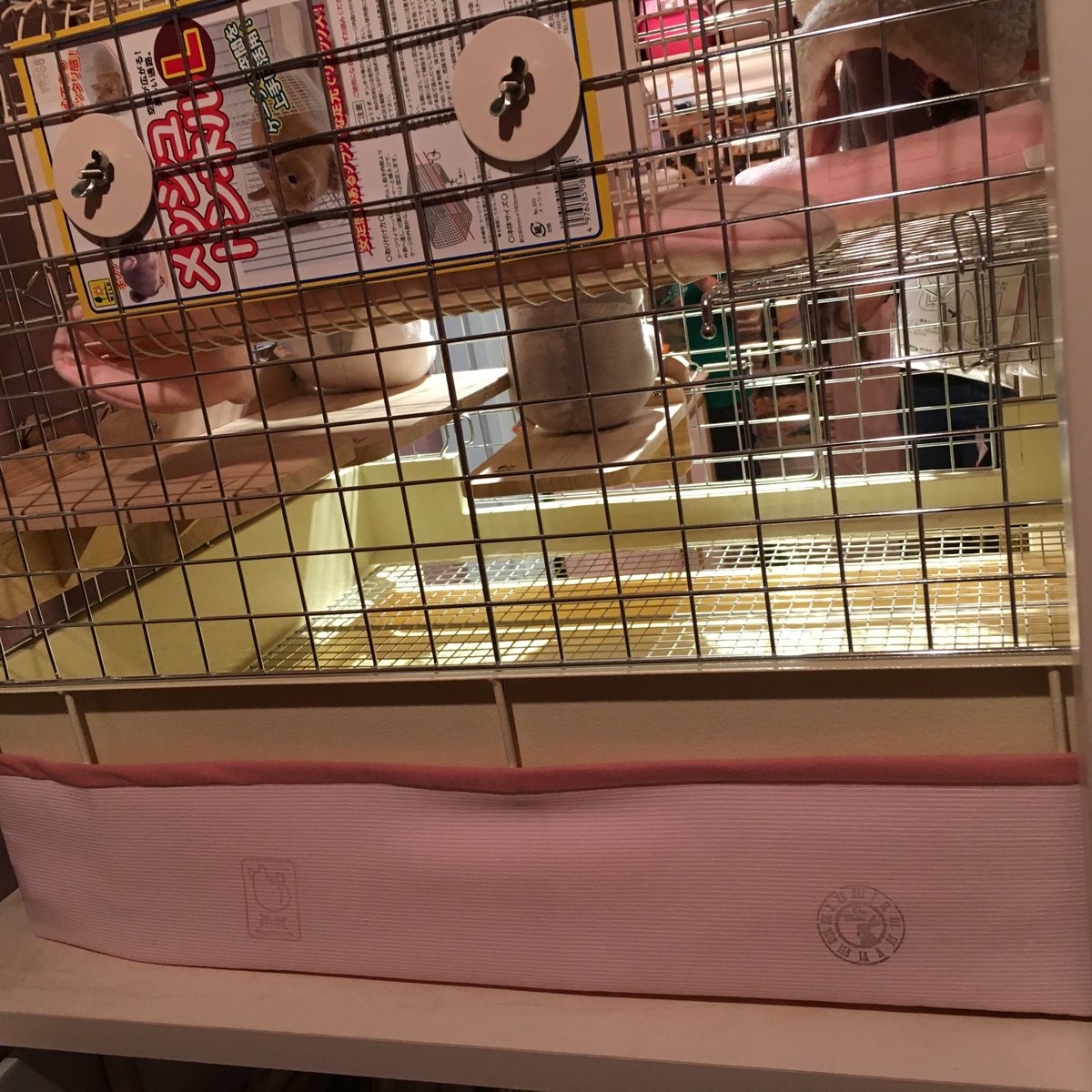 販売終了/在庫限り》コンフォート60用ケージエプロン（バック/3面