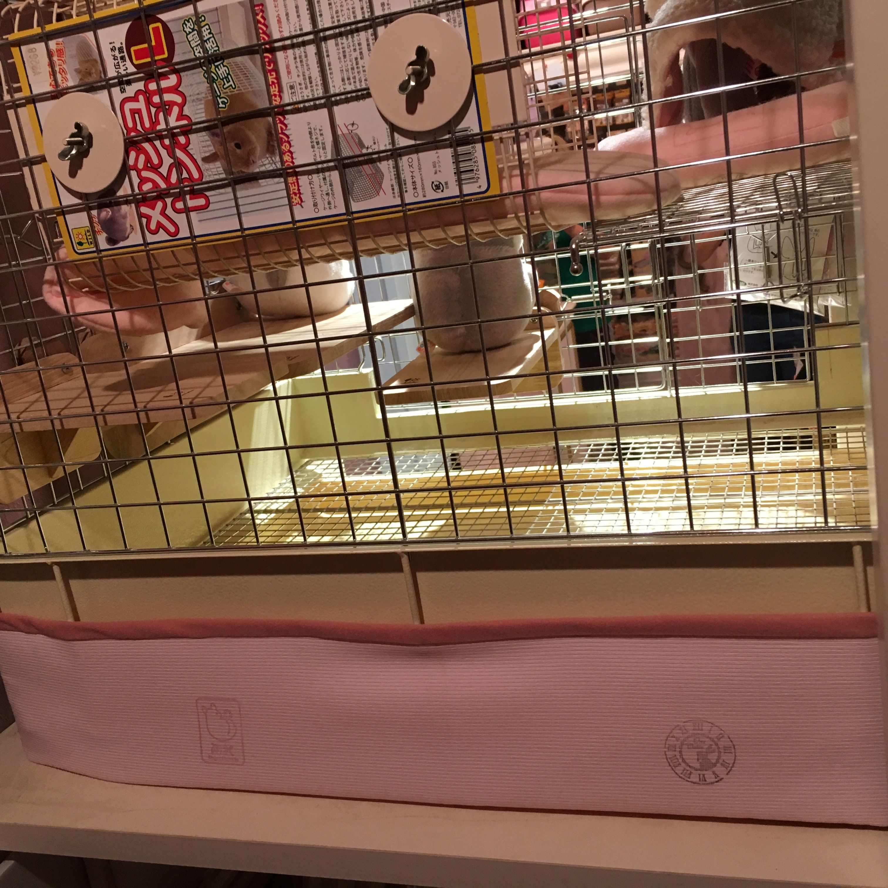 販売終了/在庫限り》コンフォート60用ケージエプロン（バック/3面